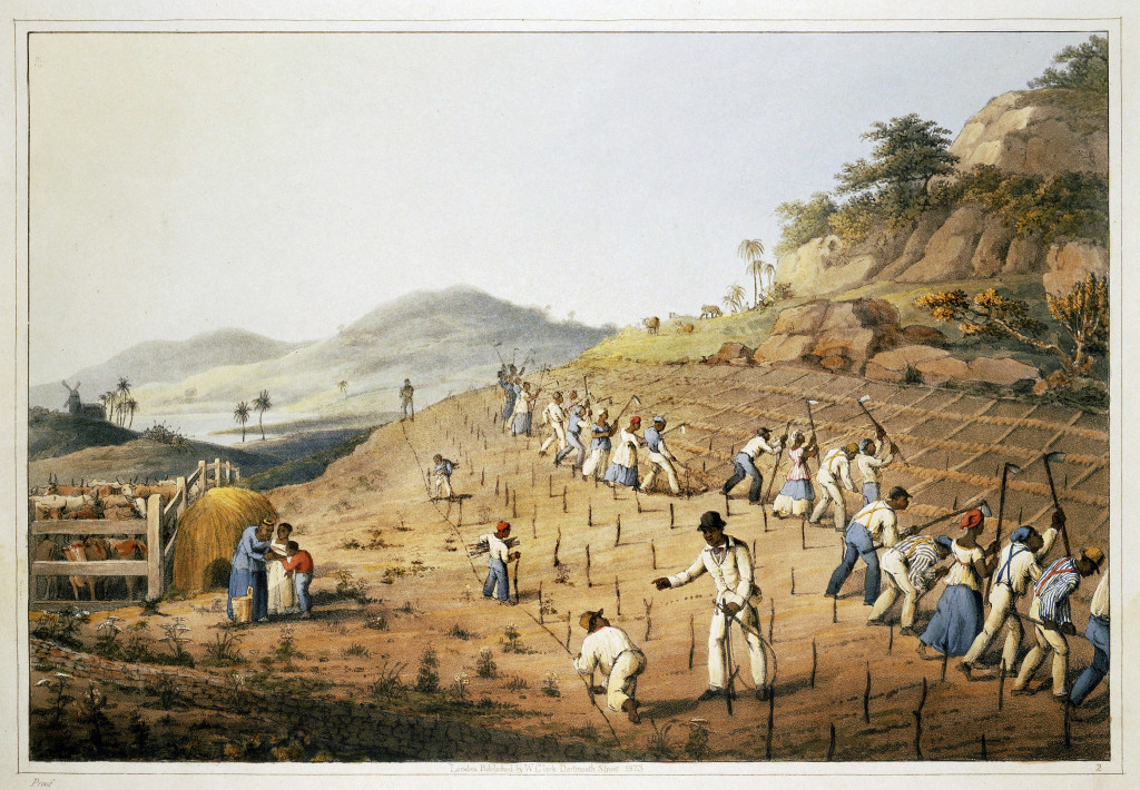 Slaves digging the caneholes. From 'Ten Views in the Island of Antigua', in which are represented the process of sugar making, and the employment of the negroes. Drawings by William Clark. Published by Thomas Clay; London, England; 1823. Shelfmark: 1786.c.9 Page Folio Number: plate II