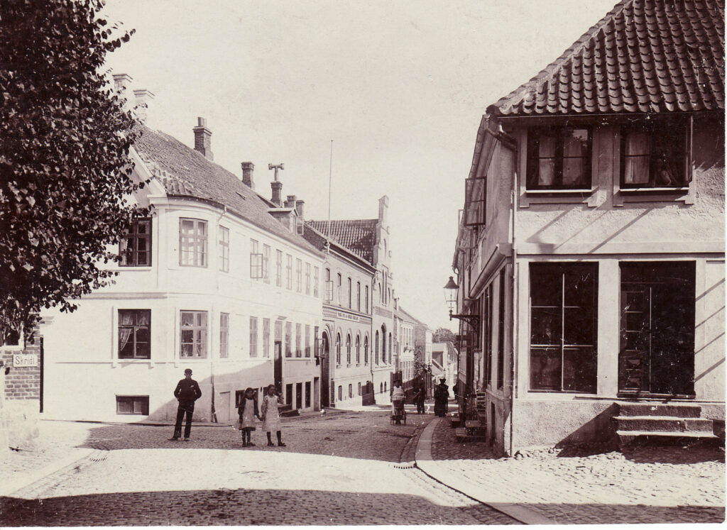 Det hvide hus er Sct. Mathias Gade 47. Træet står i Latinerhaven, Katedralskolens botaniske have. Foto i Lokalhistorisk Arkiv, Viborg